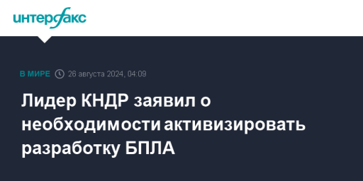 Лидер КНДР заявил о необходимости активизировать разработку БПЛА