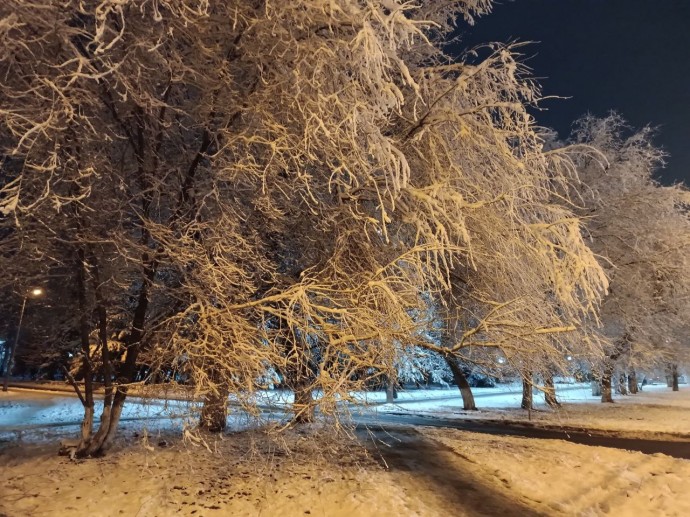 17 декабря Пензенскую область занесет метель