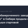 Здание обанкроченного завода "Роснано" в Сибири продали по цене вдвое выше стартовой