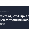 В США считают, что Сирия готова к сотрудничеству для ликвидации химоружия