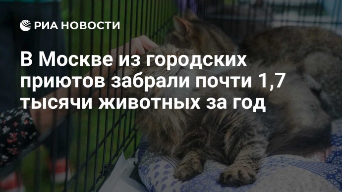 В Москве из городских приютов забрали почти 1,7 тысячи животных за год