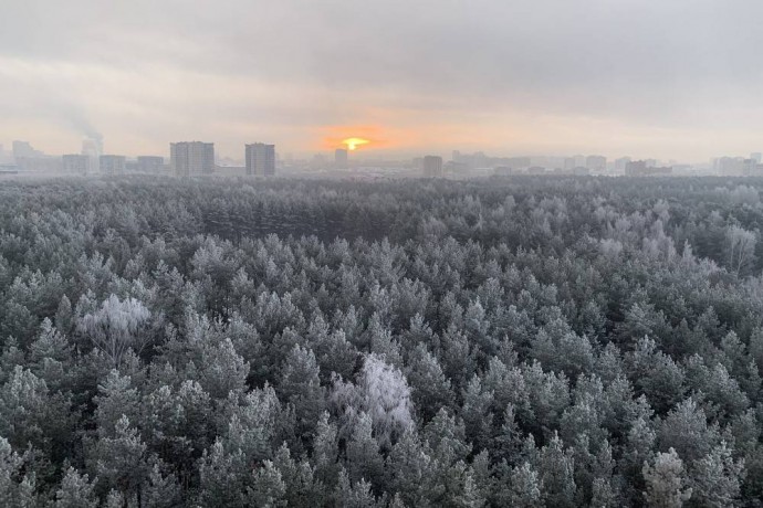 ​В Перми начался опрос по экопроекту «Зеленое кольцо»