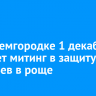 В Академгородке 1 декабря пройдет митинг в защиту деревьев в роще