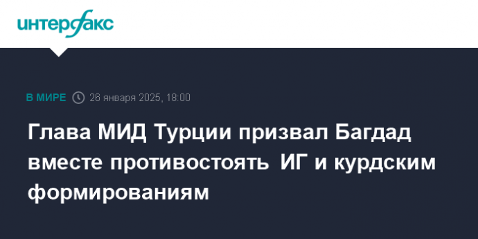 Глава МИД Турции призвал Багдад вместе противостоять ИГ и курдским формированиям