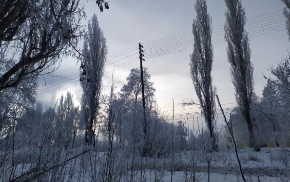 В Курской области 24 января прогнозируют снег и до -6 градусов