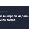 Россияне выиграли медальный зачет ЧМ по самбо