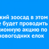 Иркутский зоосад в этом году не будет проводить традиционную акцию по сбору новогодних елок