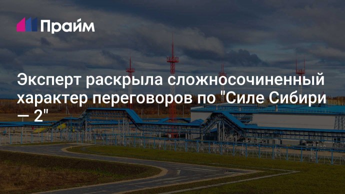 Эксперт раскрыла сложносочиненный характер переговоров по "Силе Сибири — 2"