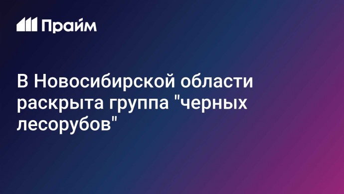 В Новосибирской области раскрыта группа "черных лесорубов"