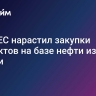 СМИ: ЕС нарастил закупки продуктов на базе нефти из России