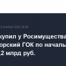 Росхим купил у Росимущества Дальнегорский ГОК по начальной цене в 2,2 млрд руб...