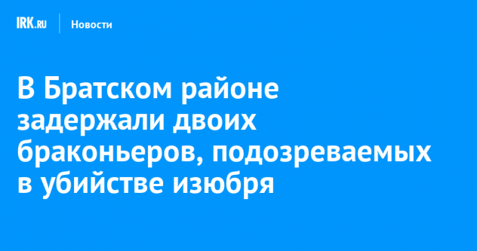 В Братском районе задержали двоих браконьеров, подозреваемых в убийстве изюбря