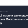 Более 1,5 тысячи детенышей родились в Московском зоопарке в 2024 году