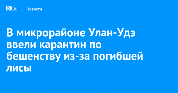 В микрорайоне Улан-Удэ ввели карантин по бешенству из-за погибшей лисы