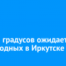 До +27 градусов ожидается на выходных в Иркутске