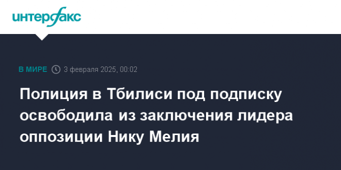 Полиция в Тбилиси под подписку освободила из заключения лидера оппозиции Нику Мелия