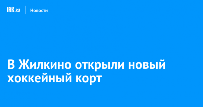 В Жилкино открыли новый хоккейный корт