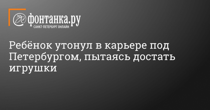 Ребёнок утонул в карьере под Петербургом, пытаясь достать игрушки