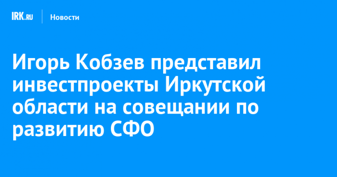 Игорь Кобзев представил инвестпроекты Иркутской области на совещании по развитию СФО