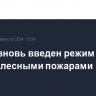 В Туве вновь введен режим ЧС в связи с лесными пожарами