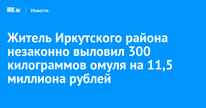 Житель Иркутского района перевозил 300 килограммов незаконно добытого омуля на 11,5 миллиона рублей