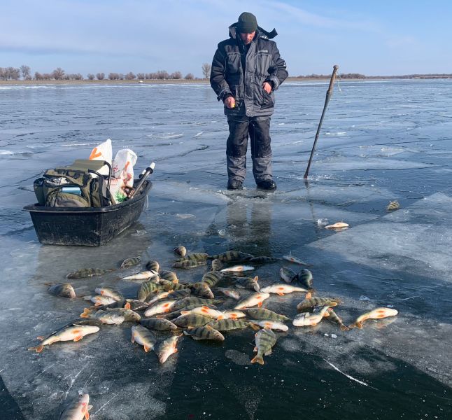 Это творится с рыбой под водой. Что показала подводная камера в Астраханской области 