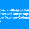 В Усолье-Сибирском появились муралы, рассказывающие об экологической миссии «Росатома»