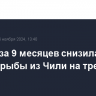 Россия за 9 месяцев снизила импорт рыбы из Чили на треть