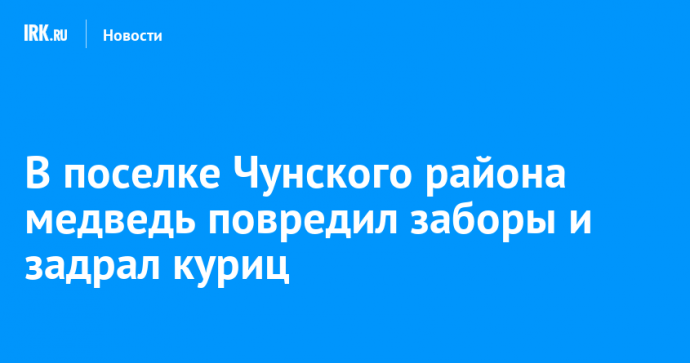 В поселке Чунского района медведь повредил заборы и задрал куриц