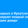 На выходных в Иркутске прогнозируют мокрый снег и небольшие дожди