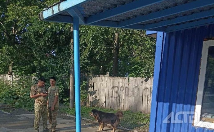 Охранники предприятия рассказали о причинах нападения собаки на мужчину в Южно-Сахалинске