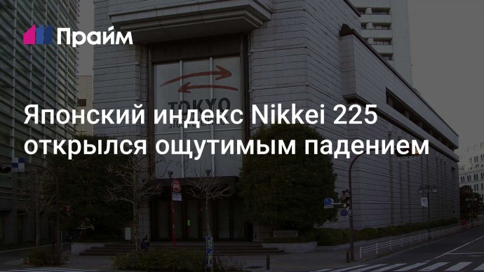 Японский индекс Nikkei 225 открылся ощутимым падением