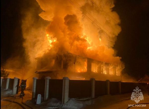 В Иркутской области домашняя собака спасла семью на пожаре