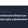 Над Смоленской областью уничтожено два украинских БПЛА