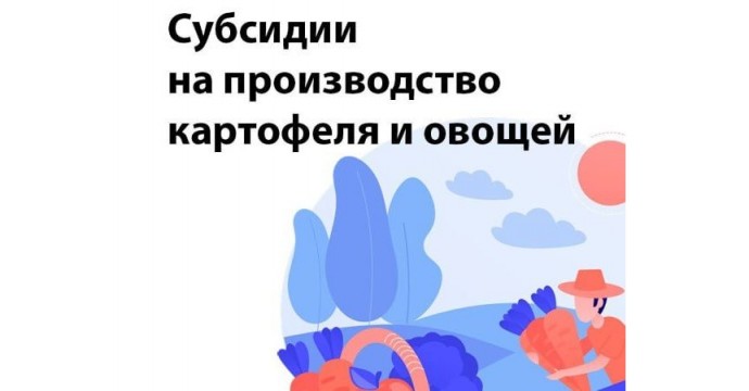 Самозанятые в Ярославской области могут получить возмещение части затрат на производство картофеля и овощей