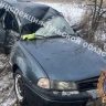 В Ленинском женщина въехала в дерево: пострадали двое детей