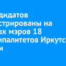 96 кандидатов зарегистрированы на выборах мэров 18 муниципалитетов Иркутской области