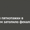 Подвал пятиэтажки в Рабочем затопило фекалиями