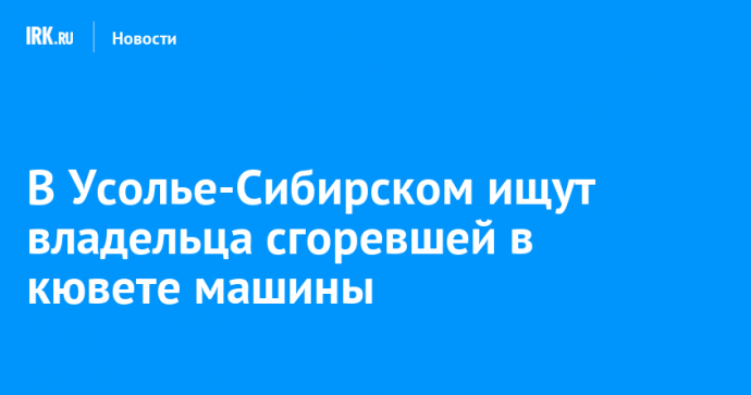 В Усолье-Сибирском ищут владельца сгоревшей в кювете машины