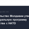 Правительство Молдавии утвердило индивидуальную программу партнерства с НАТО