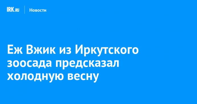 Еж Вжик из Иркутского зоосада предсказал холодную весну