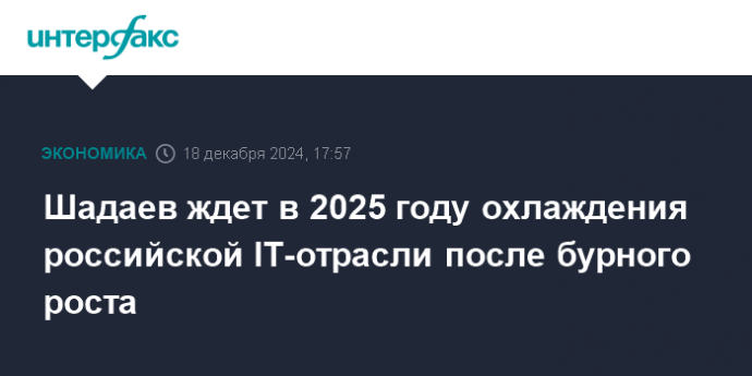 Шадаев ждет в 2025 году охлаждения российской IT-отрасли после бурного роста