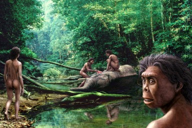 Ученые заявили, что Homo floresiensis были низкорослыми из-за нехватки еды