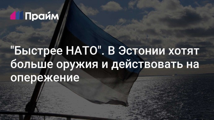 "Быстрее НАТО". В Эстонии хотят больше оружия и действовать на опережение