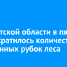 В Иркутской области в пять раз сократилось количество незаконных рубок леса