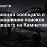 Росавиация сообщила о возобновлении поисков пропавшего на Камчатке Ан-2