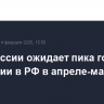 Банк России ожидает пик годовой инфляции в РФ в апреле-мае