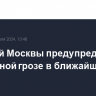 Жителей Москвы предупредили о возможной грозе в ближайшие часы