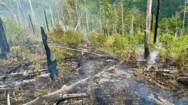 В Бурятии тушат 14 лесных пожаров