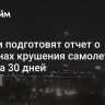 Власти подготовят отчет о причинах крушения самолета в США за 30 дней